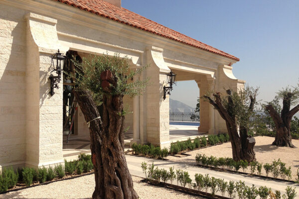 Sebastian-iron-lighting-fixture-foyer-hall-pendant-entry-kitchen-solara-ligthing-D014-012-EL-(19)